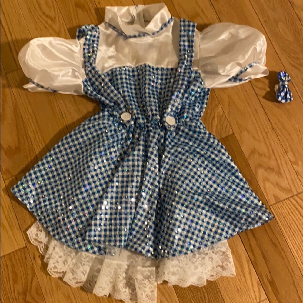 Dorothy halloween costume size 4-5
